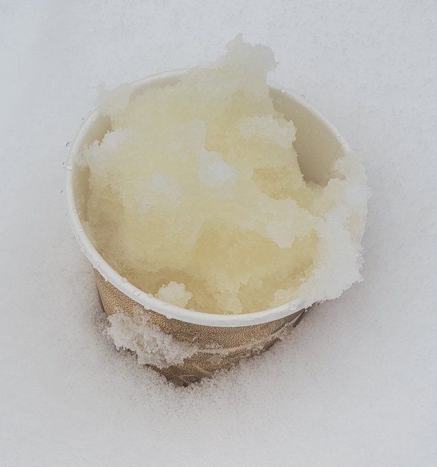 Have you seen the video of me making this delighful yellow snow cone yet? https://t.co/uo4d0WOZ37<a href="/tag/stripper"class="tags"><span>#stripper</span></a><a href="/tag/exoticdancer"class="tags"><span>#exoticdancer</span></a><a href="/tag/nsfw"class="tags"><span>#nsfw</span></a><a href="/tag/nudes"class="tags"><span>#nudes</span></a><a href="/tag/petitegirl"class="tags"><span>#petitegirl</span></a>