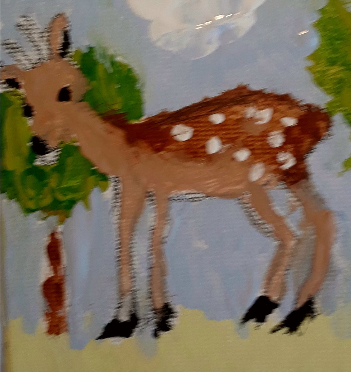 Belinda McRae Miss B tweet media