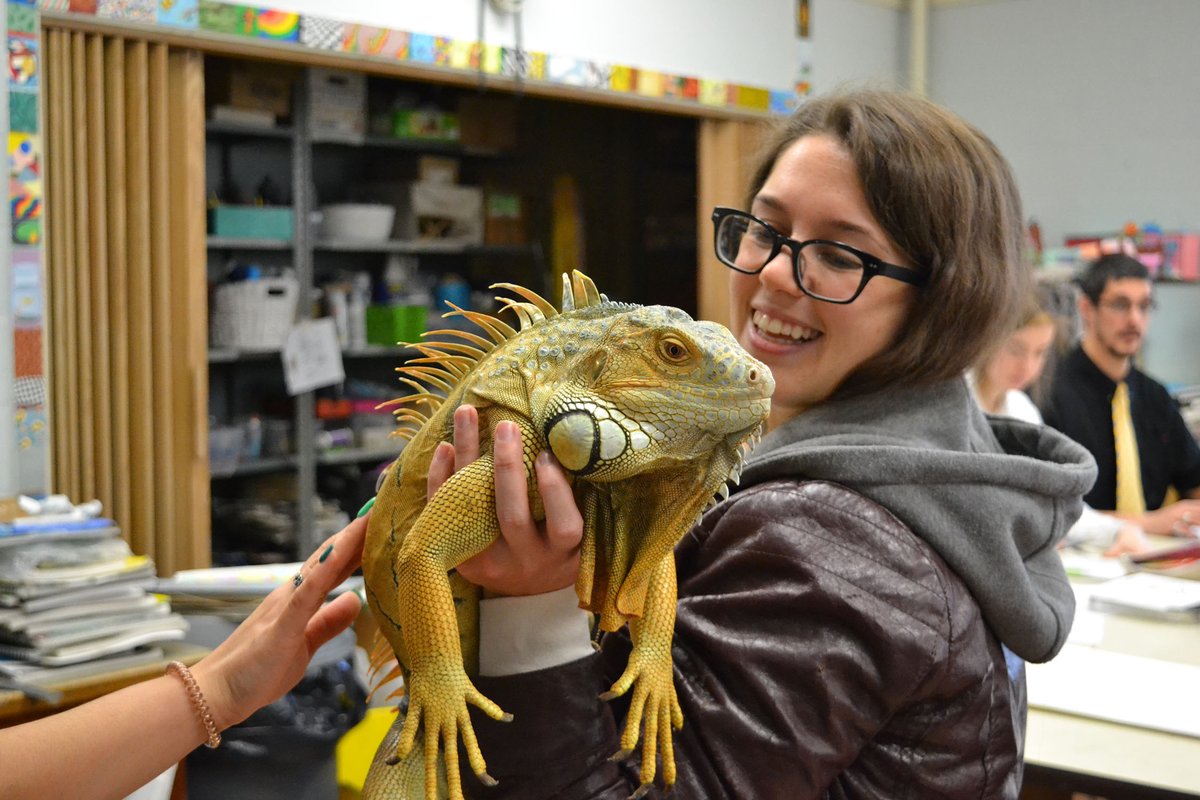 Thank you to <a href="/TheDrawingZoo/">The Drawing Zoo</a> for coming to Catholic High for some experiential learning with our students! Professional artist, Brittany Roger, brought two of her lizard friends today -- Hulk the Iguana and Emerald the Chameleon! 🦎