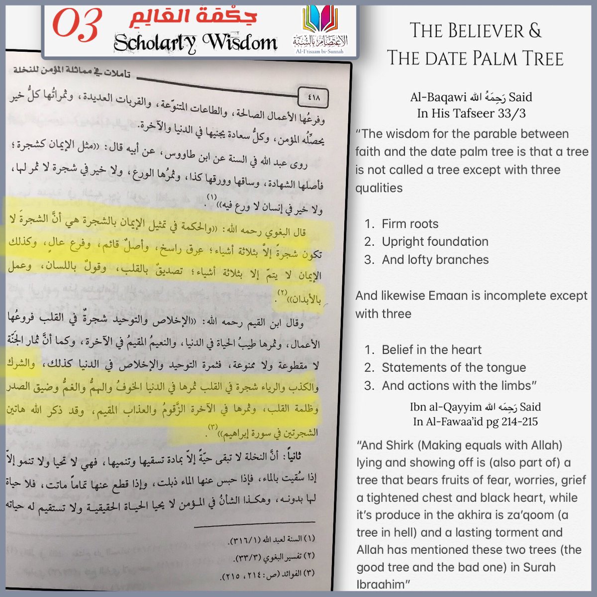Al I Tisam Bi Sunnah On Twitter The Believer The Date Palm