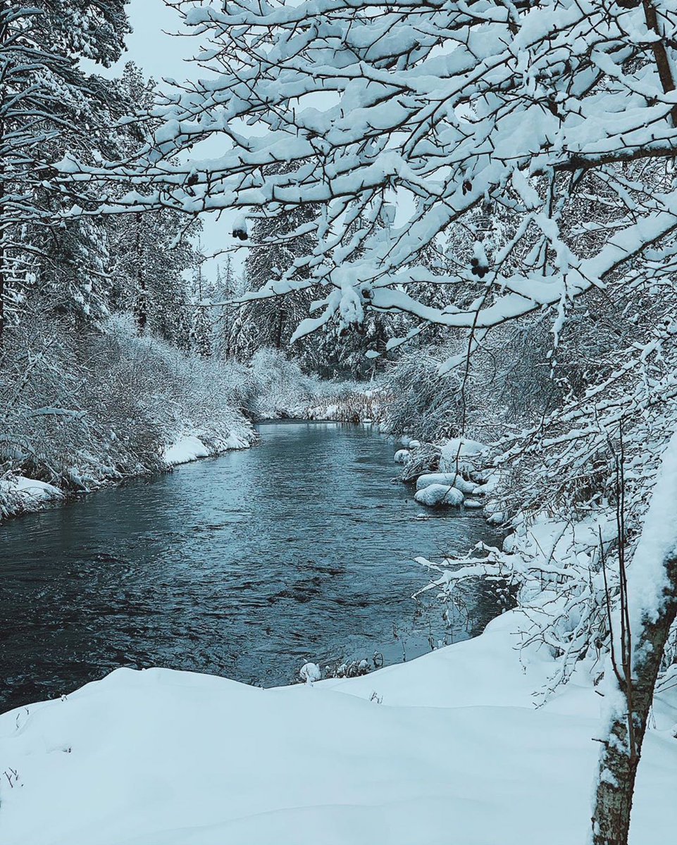 SpokanePulse tweet media