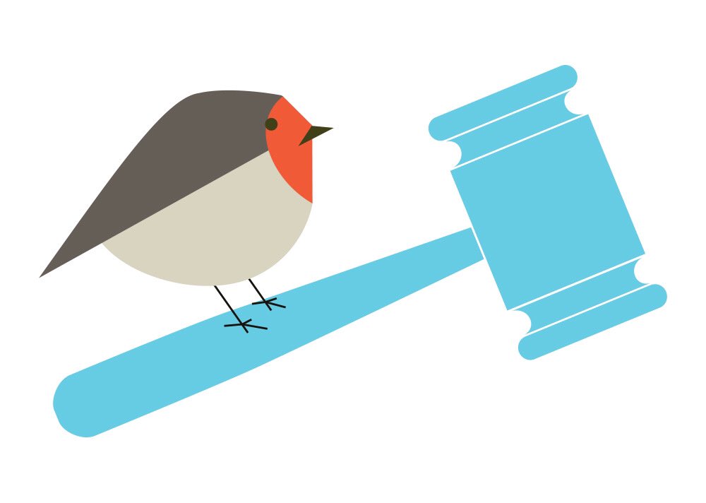 AAVS_AAVS's tweet photo. Birds win! AAVS and our coplaintiff the @AvianWelfare have won our appeal against USDA for its inaction/failure to regulate birds. Pet bird trade causes much suffering for animals in bird mills, inhumane transport conditions, and improper living environs. https://t.co/2F1mP9TEDN https://t.co/hJmcpOYWko