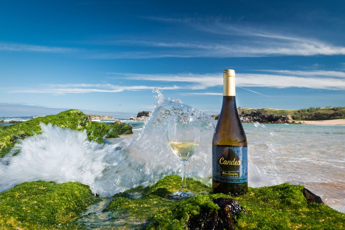 WINES.GAL tweet media