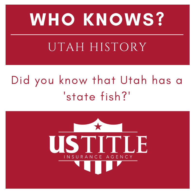 USTitleDavisCo's tweet photo. NO GOOGLING ALLOWED!  Who knows off the top of their head what our state fish is. 

Cause we were stumped.  Let us know!  

#funfactfriday #utahfacts #whoknows #hereforyou #andyouandyouandyou #ustitle #ustitleutah #hometowndifference https://t.co/XWHXrOmS2u