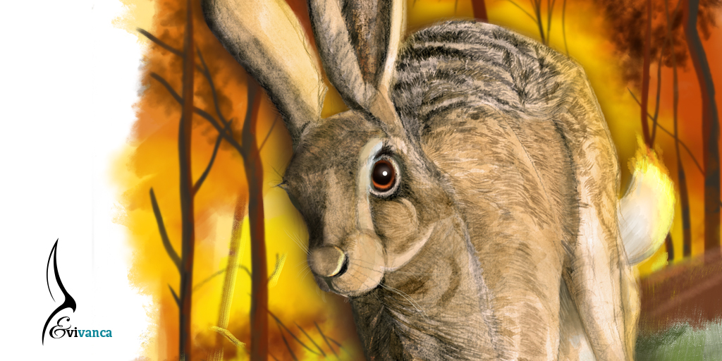 evivanca's tweet photo. #evivanca #illustration of a hare fleeing from #bushfiresAustralia . Check the website Nasa to see climate change is a fact. https://t.co/aAYYDe8j4D My wish for 2020? Let’s take care of our precious planet!#ClimateChange #klimaatverandering  Full size: https://t.co/XkuDDVpIO6 https://t.co/7srR87HOGk