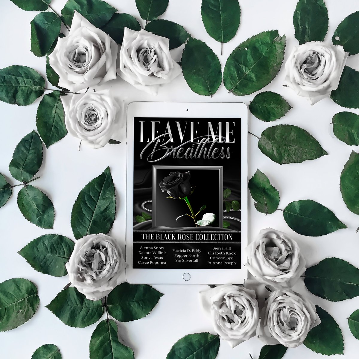 Lose yourself in 11 addicting reads for $0.99!
Don’t miss out on the HOTTEST boxed set around.
bit.ly/LMBbooksBlackR…
#LeaveMeBreathless #LMBauthor #darkromancelovers #newrelease #comingsoon #darkromance #dark #booklovers #readers #readersofinsta #99cents