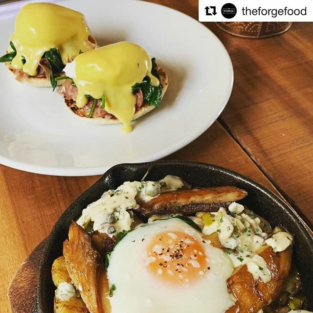 #Repost <a href="/theforgefood/">The Forge</a> ・・・
Brunch served 11-3pm tomorrow
Lunch 12-3pm.
Book online or call the restaurant on 01919087621
#theforgefood #washingtonvillage #saturdaybrunch #northeastrestaurants #northeastbrunch #nebloggers #iftheforgedid #brunch ift.tt/2FWChwa