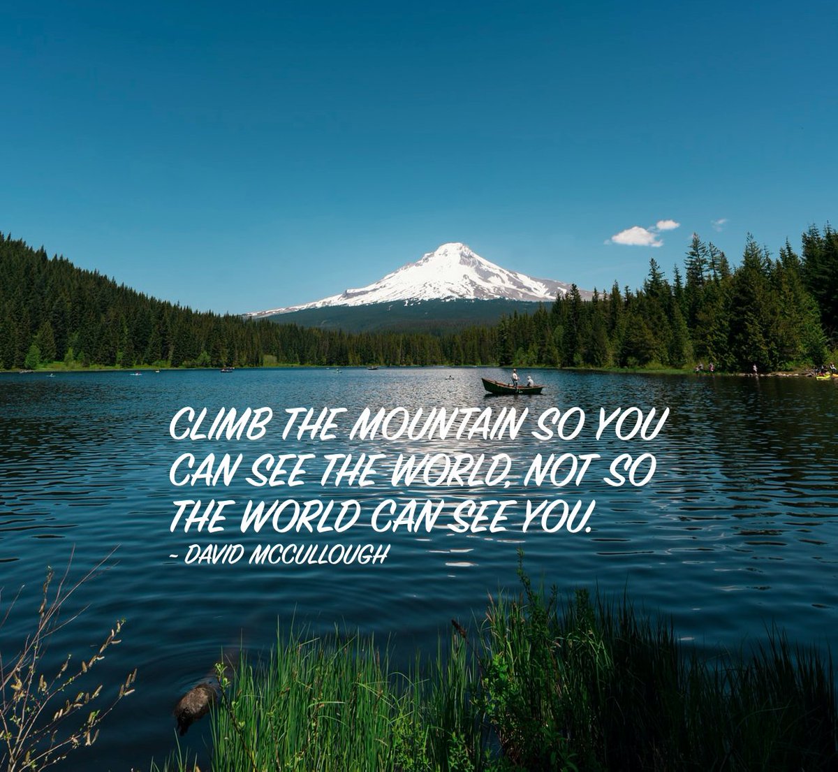 guests's tweet image. 