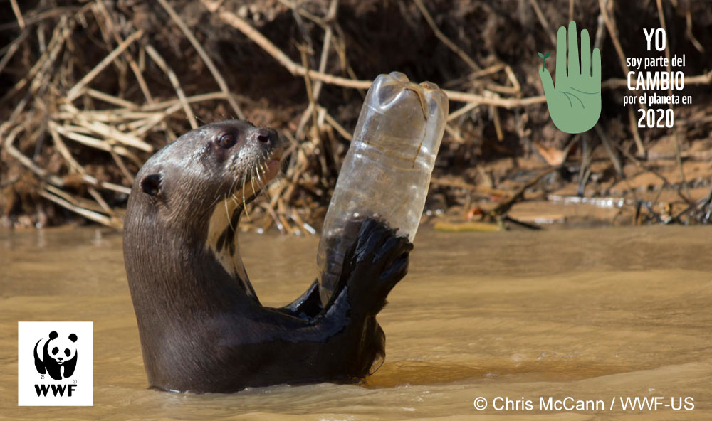 WWF_LAC's tweet photo. ¡Un tercio de los desechos plásticos en el mundo termina en la naturaleza cada año! La crisis plástica requiere tus acciones individuales y colectivas:

🚫 Rechaza el plástico 
➡ Haz que nuestros líderes tomen partido a través de un acuerdo global https://t.co/gzBzFzZPuM https://t.co/B19RVTqazw