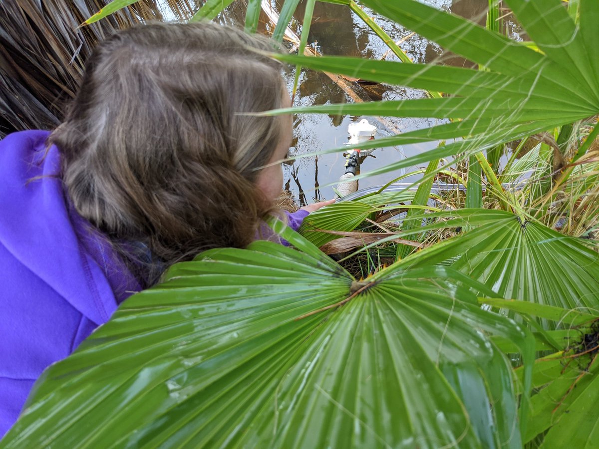 McNeishAqEcoLab's tweet photo. Day 2 of #litter &amp; #microplastics sampling after it rained for @eco__amy research project! https://t.co/7Rk3y5tVHP