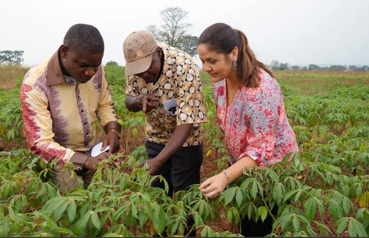800M people globally rely on the calorie dense cassava crop as a main food source

Food security champion @Laura_boykin is using #AI &amp; a pocket-sized #DNA sequencer to help farmers select varieties that are resistant to local pathogens

Big step forward!

bit.ly/34LHd0M