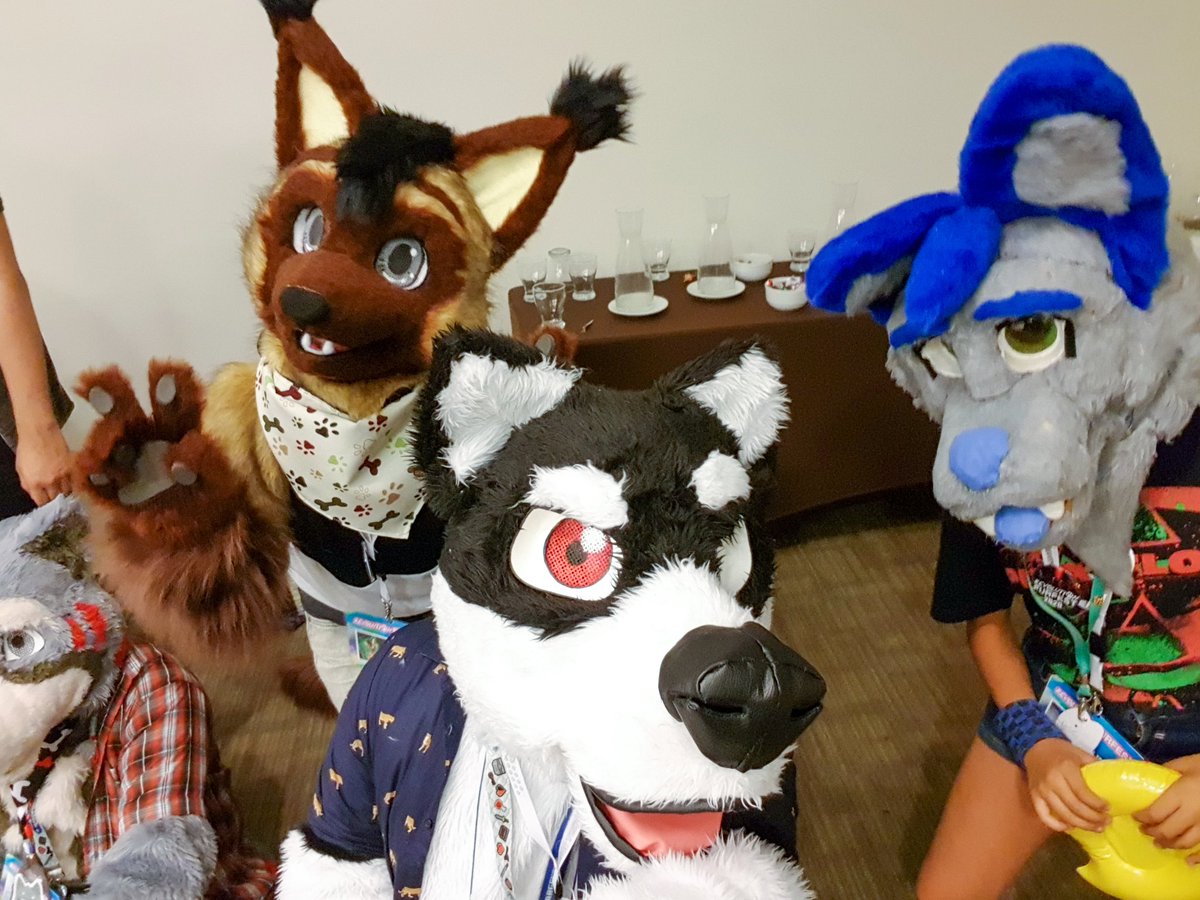 BleisutHund's tweet photo. This #FursuitFriday, some good and funny moments from #RFFC2020, the first Furry Con event in my country 🇨🇱.
It was celebrated last saturday and
I had lots of fun. I'm looking forward  to it next year if it happens!
#RFFC
#fursona #furry #FurryFriday #fursuit https://t.co/T5TH5KMAWU