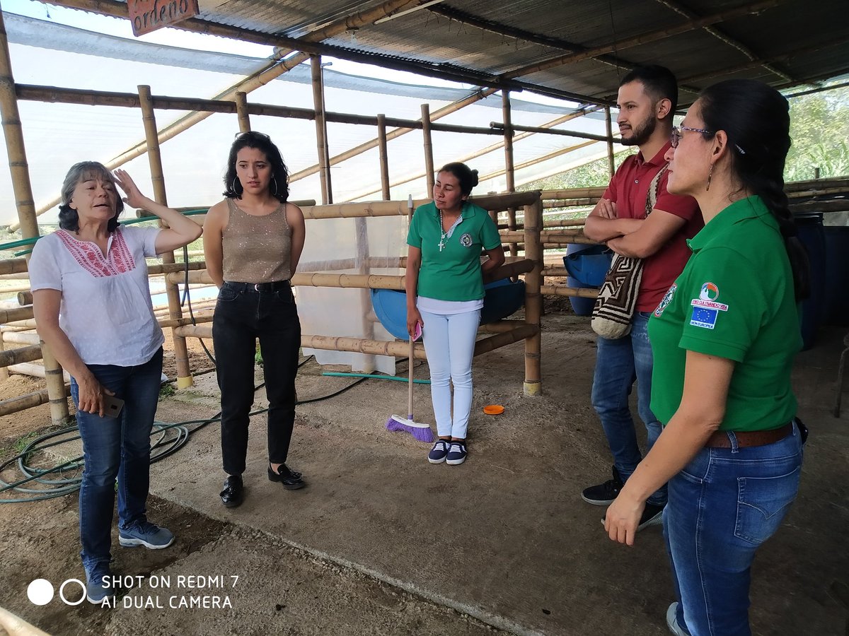 Fed. Campesina Cauca tweet media