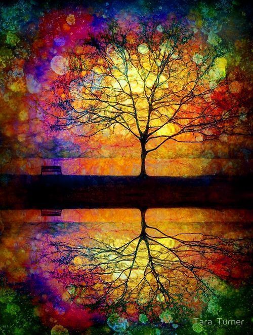 Someone is sitting in the shade today because someone planted a tree a long time ago. 
-Warren Buffett
#amwriting
#Art Tara Turner