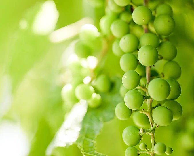 🌟𝟮𝟬𝟮𝟬 𝘄𝗶𝗿𝗱 𝗲𝗶𝗻 𝘄𝘂𝗻𝗱𝗲𝗿𝗯𝗮𝗿𝗲𝘀 𝗝𝗮𝗵𝗿!🌟
𝗭𝗶𝗲𝗹𝗲 𝗴𝗲𝗯𝗲𝗻 𝘂𝗻𝘀 𝗲𝗶𝗻𝗲 𝗥𝗶𝗰𝗵𝘁𝘂𝗻𝗴 𝗮𝗻, 𝗴𝗲𝗯𝗲𝗻 𝘂𝗻𝘀 𝗔𝗻𝘁𝗿𝗶𝗲𝗯 𝘂𝗻𝗱 𝗴𝗲𝗯𝗲𝗻 𝘂𝗻𝘀 #Hoffnung. 🤲
Was habt ihr euch für #Ziele gesetzt?
Was möchtet ihr heuer anders machen?