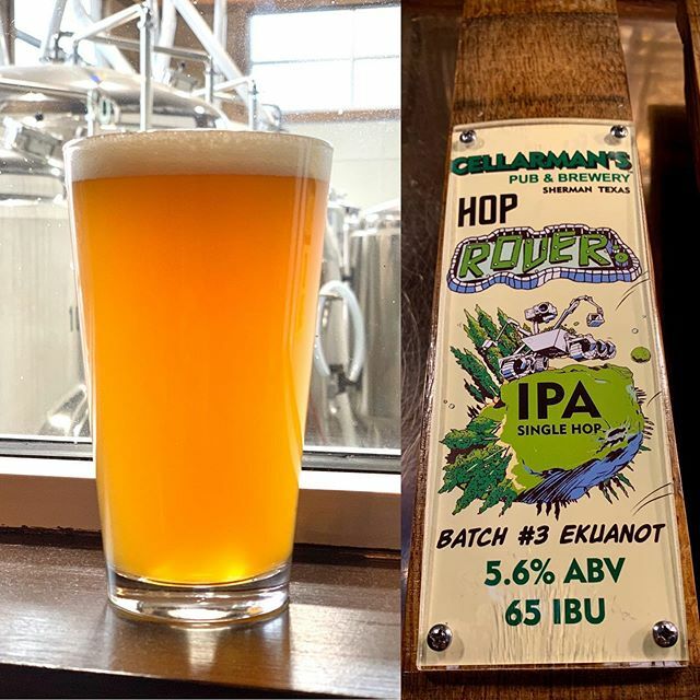 cellarmans's tweet photo. We just tapped our latest Hop Rover IPA. This is our rotating Single Hop IPA brewed with Ekuanot hops. We continuously hop this brew throughout the brewing process from the mash to just before kegging, using techniques to maximize the extraction of hop f… https://t.co/Juq7NIUXxf https://t.co/sQnAS8D7mM