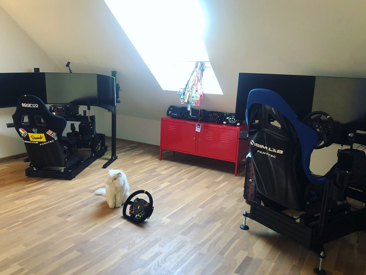 SimRacingGirl's tweet photo. 2 rigs, 1 cat 😼 #simlab https://t.co/n5so1CPCtO