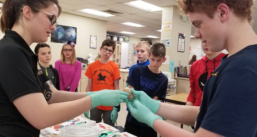 SCSEagles1's tweet image. WMU&apos;s Stryker School of Medicine visited today to work with our 7th graders learning about the brain.  The learned about memorization &amp;amp; recall, how taste and vision work together, and were able to view the lobes of an actual sheep brain.