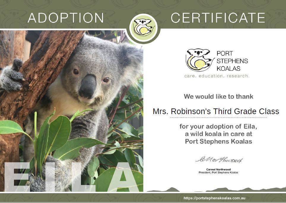 After adopting koala Jimmy last week, the students kept bringing in donations all week! We were able to also adopt Eila and her joey Patu! <a href="/koalas_psk/">Port Stephens Koala Hospital</a>