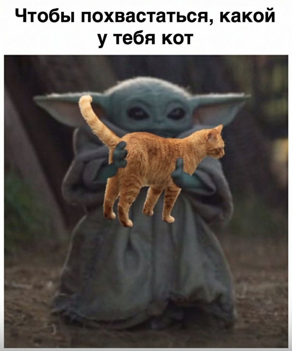 МЕМНАЯ ЦЕПОЧКА ✨

🤡ЧИТАЙ МЕНЯ, ВЗАИМНО

🤡РТ ЭТОТ ТВИТ

🤡ЧИТАЙ РЕТВИТНУВШИХ

🤡КИДАЙ В РП МЕМЫ!! НАДО БОЛЬШЕ МЕМОВ💪

#Цепочкатвиттерских
#цепочкафолловеров
#сальваторфолловитвсех