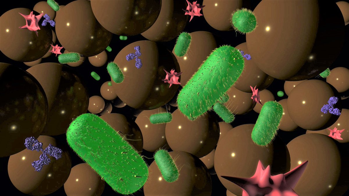 3n_lab's tweet photo. Our lab recently developed a magnetic beads packed nano-sieve device for efficient bacteria trapping, concentrating, and retrieving in bodily fluids, intended for instrument-free diagnosis:  
https://t.co/ZQprR9VUCB https://t.co/6UoE8hE7jz