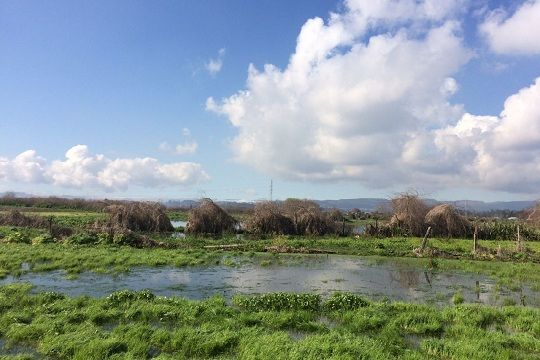 CarolaSchmidtZ's tweet photo. ¡Buenas Noticias! Hoy el Consejo de Ministros por la Sustentabilidad aprobamos la declaración de Santuario de la Naturaleza a dos ecosistemas en #BioBío y #Maule. Laguna Grande Humedal Los Batros y Los Maitenes de Río Claro formando parte del #PlanNacionaldeHumedales 2018-2022 👇 https://t.co/zV1RpM28bl