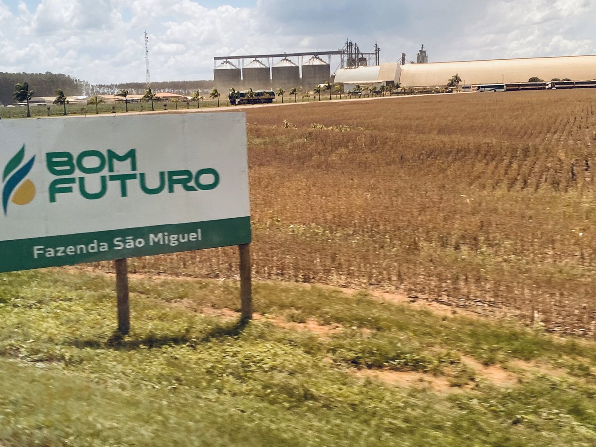 Doran Johnson tweet media