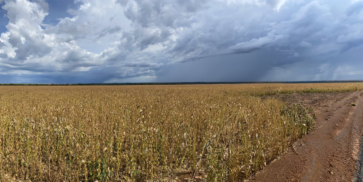 Doran Johnson tweet media