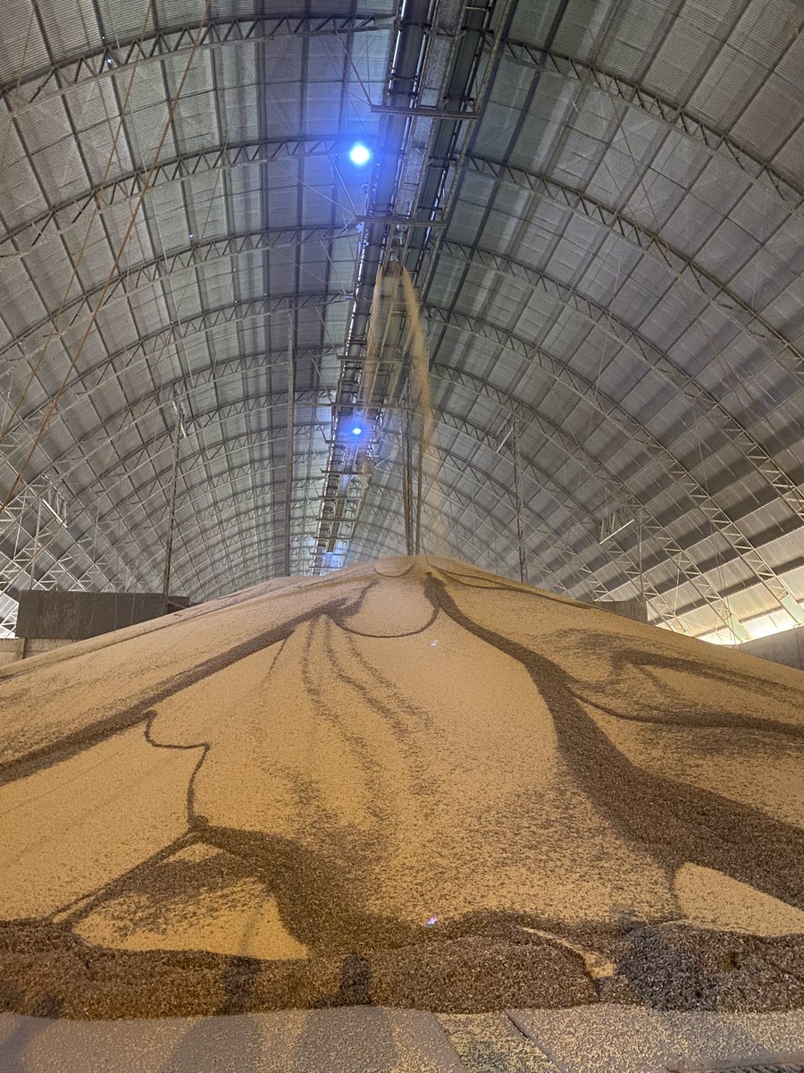 Doran Johnson tweet media