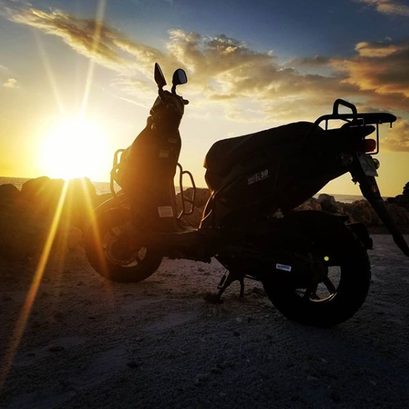 genuinescootco's tweet photo. Winter in Florida means riding weather all year round.
Photo: @sarasotamopeds
#genuineroughhouse #genuineroughhouse50 #rh50 #beach #florida #genuinescooter #genuinescooters #scooter #scooters #scootscoot #scootlife #scooterlife #twowheels #fun #adventure https://t.co/xfheDbsKu1