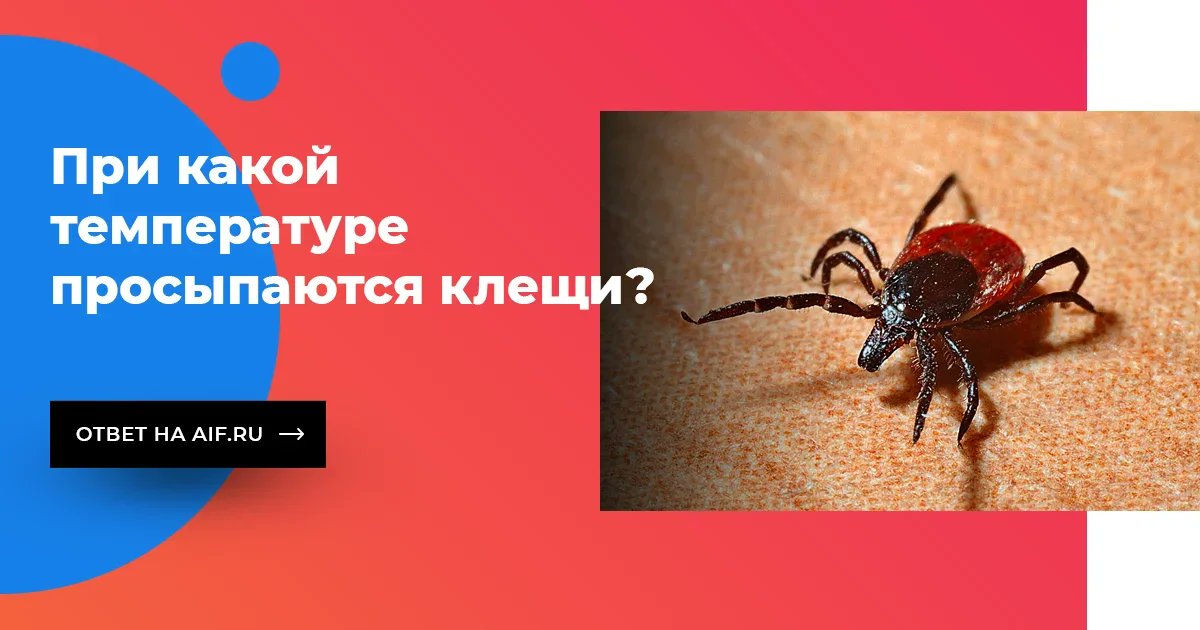 При какой температуре просыпается. При какой температуре просыпается