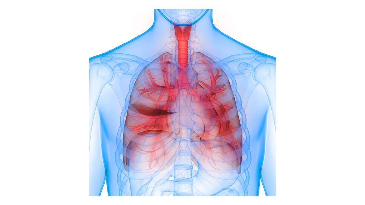 New @CDCMMWR report, most patients with e-cigarette, or vaping product use-associated  lung injury (EVALI) continue to report use of THC-containing products, and  new EVALI cases have continued to decline since a peak