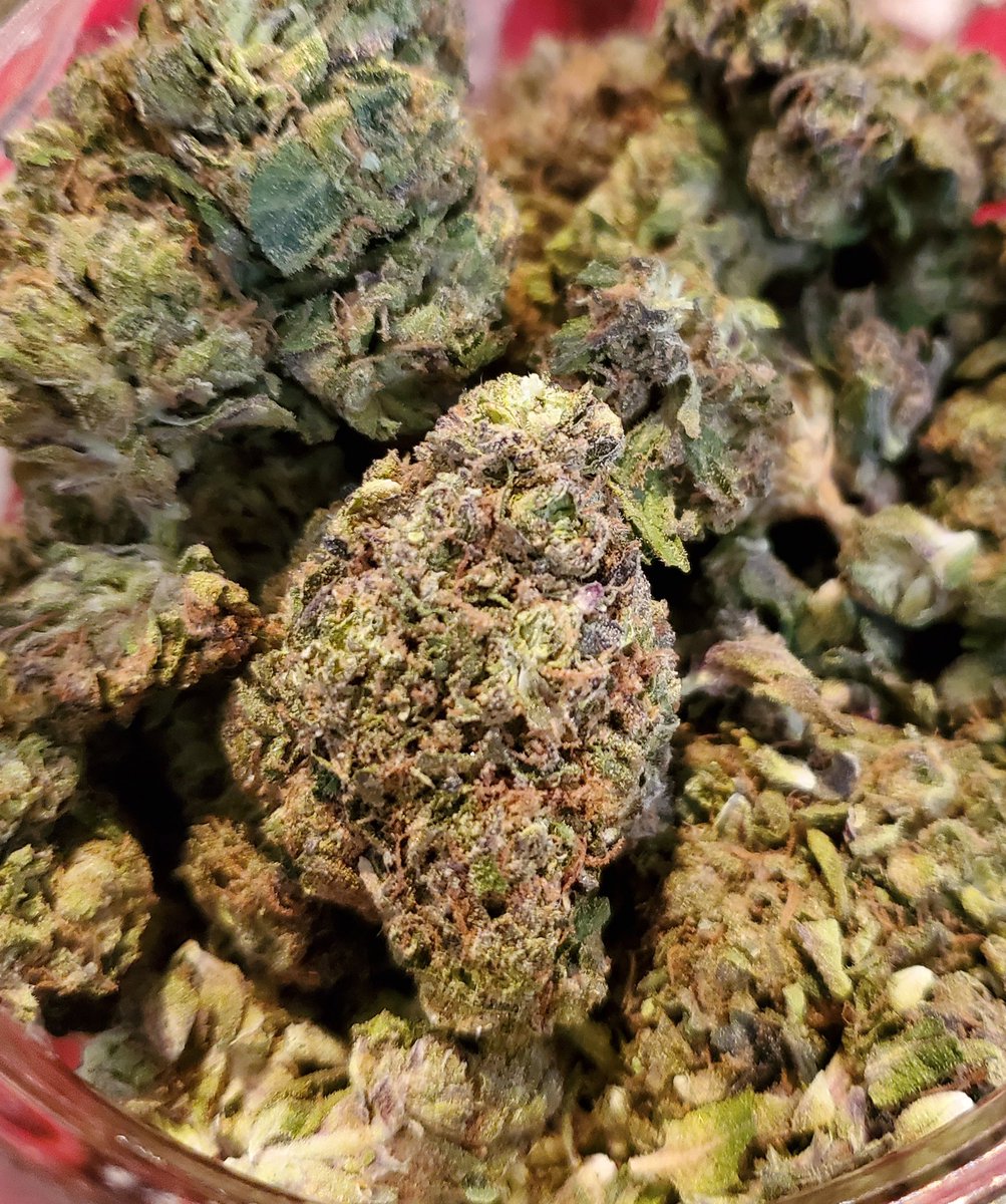 Waynnypot's tweet photo. Awe Gevening stoners 
Long time no tweet .
Onelove https://t.co/l1TCQQABV9