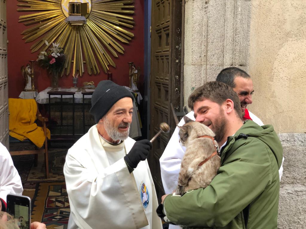 BrigadaGatuna's tweet photo. #SanAnton bendice a los que nos cuidan. A los que no nos quieren y a los que nos maltratan diles que sean buena gente porque un día Dios les pedirá cuenta ¡somos ángeles sin alas! Miau, guau 😺 #noalmaltratoanimal. https://t.co/hAVFESGm2I