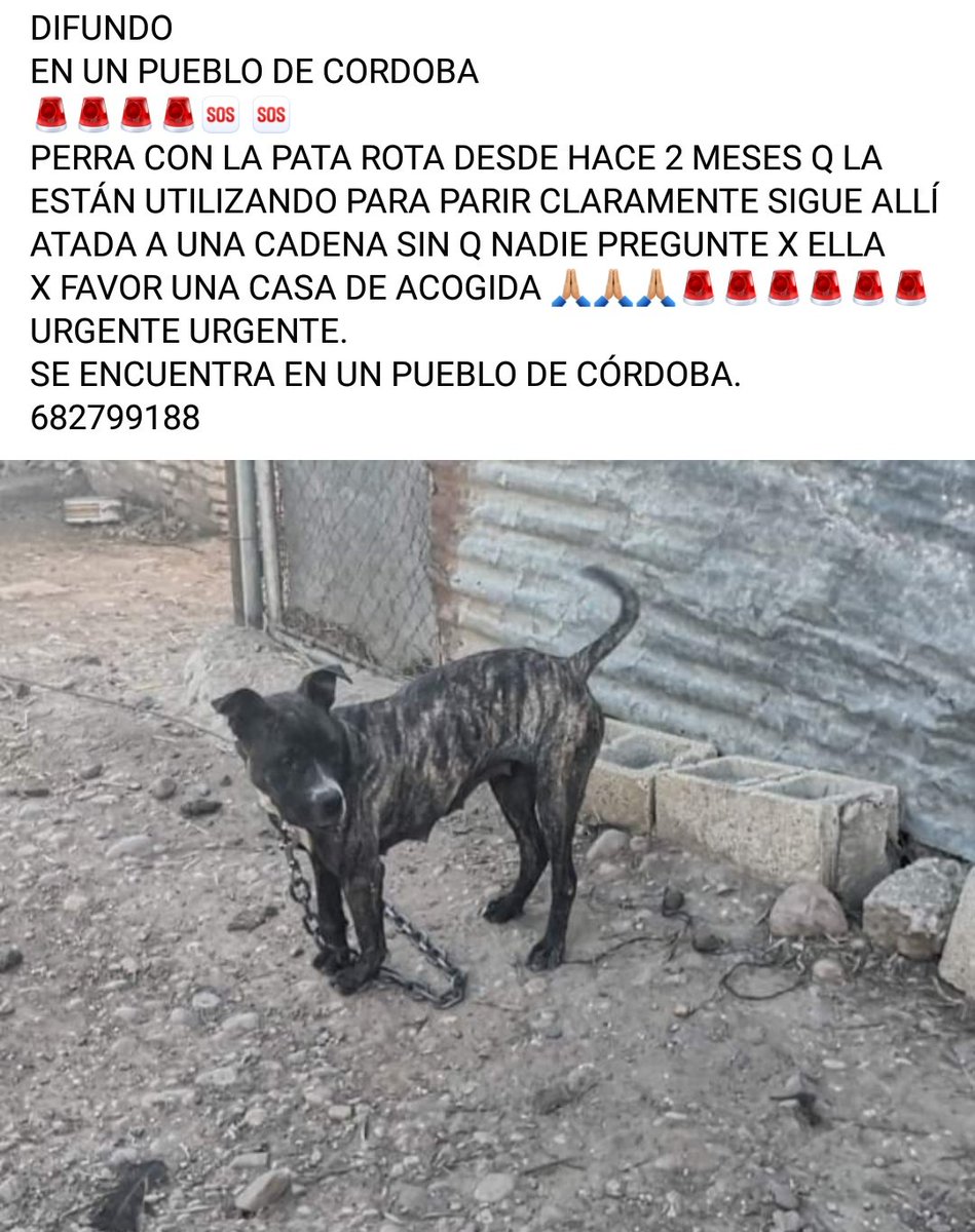 CASO EXTERNO CORDOBA