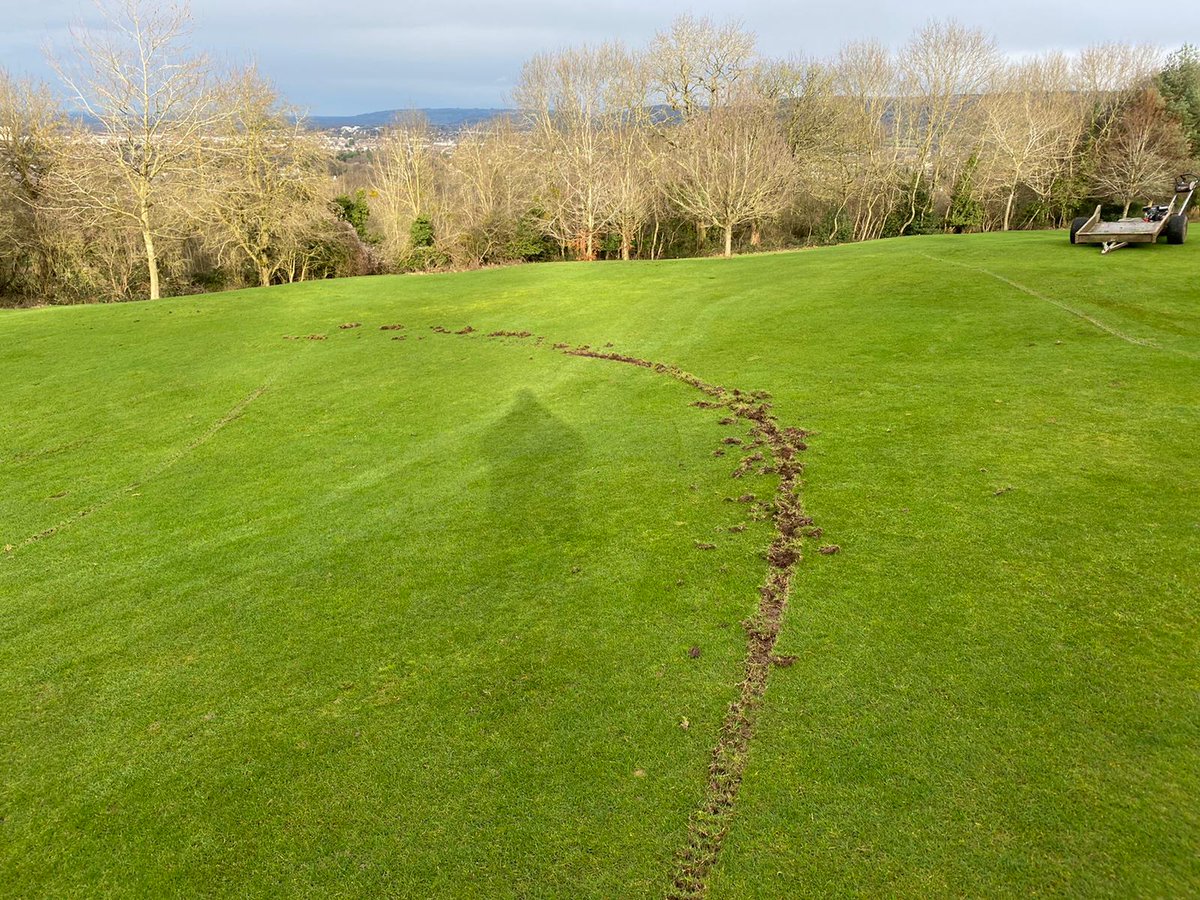 TeamLilleybrook's tweet photo. Words cannot describe this behaviour! 😡🤬 Unfortunately some moron last night decided to ride his/her motocross bike all over our 13th green &amp; fairway!! #LilleybrookGC #vandal #Unbelievable #moron #damage https://t.co/t6FCvpUUOF