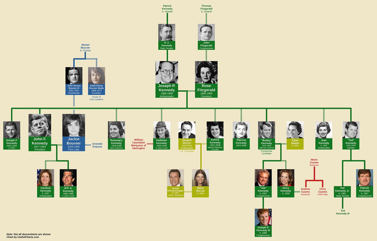 Kennedy Family Tree Usefulcharts Family Tree Kennedy - vrogue.co