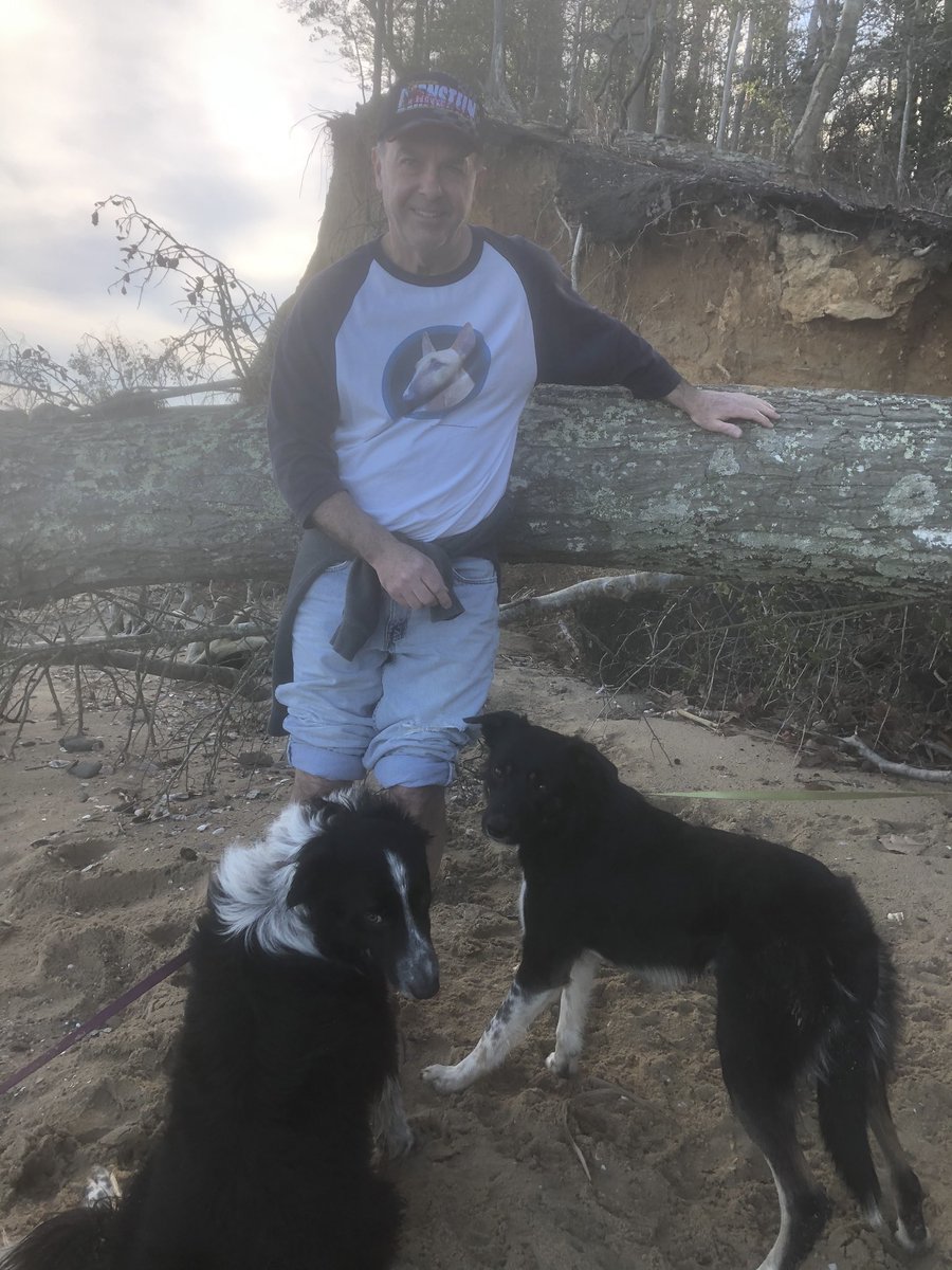 Goosedogs4Sale's tweet photo. As the snowy weather moves in over the weekend, Bear and Jack dream about the warmth and fun of last weekend. Handsome human not for sale! #noharmnofowl #goosedogsforsale #canadagoosecontrol #goosedogs #workingbordercollies #calvertcliffsstatepark https://t.co/s9oNrbd5BP