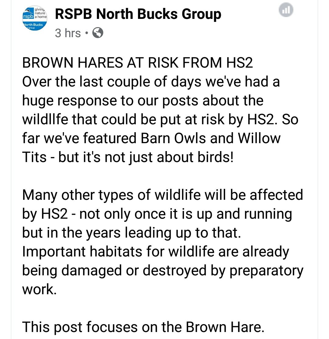 NetsNot's tweet photo. #HS2IsEcocide Anyone at #Harvil @XRebellionUK the Brown Hares are just one of the animals there at risk Read more about the #Buckinghamshire #BrownHares #HS2FastTrack2Extinction https://t.co/hIZC8DUnWA