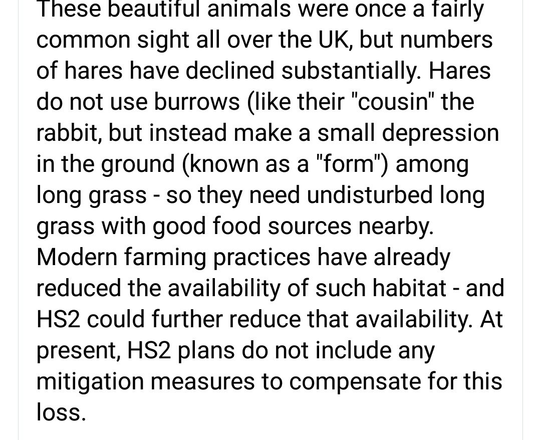 NetsNot's tweet photo. #HS2IsEcocide Anyone at #Harvil @XRebellionUK the Brown Hares are just one of the animals there at risk Read more about the #Buckinghamshire #BrownHares #HS2FastTrack2Extinction https://t.co/hIZC8DUnWA