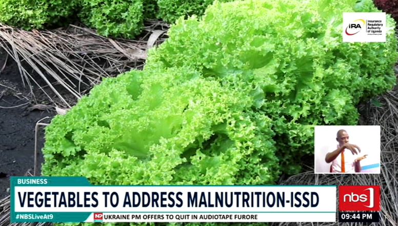 Fireliglntfi's tweet photo. Rwenzori Farmers have been advised to embrace vegetable growing to reduce the increasing cases of malnutrition in the region. 
#NBSLiveAt9 #NBSUpdates https://t.co/FtP0CAIUIy