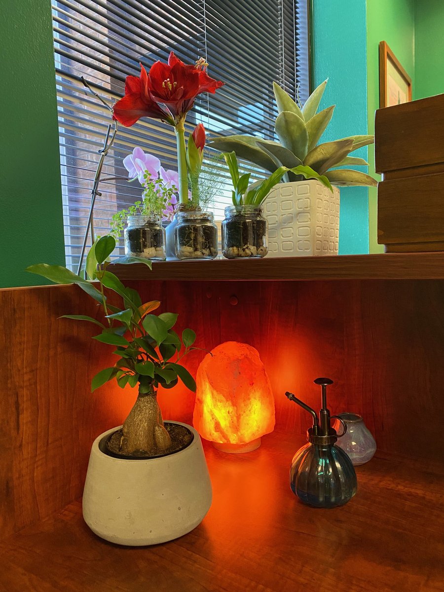 group_jonus's tweet photo. We love when our group adds fun things to their work space. Some bring pictures, some posters, and others plants. What do you like to bring to make your work space your own? #joinusatjonus #plants #lighting #recruiter #workspace #makeityourown #insurance #cubicle https://t.co/NC4N1kMB7a