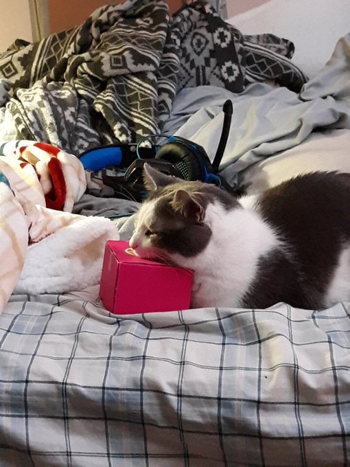 i love him 🥺💖 so much https://t.co/kWaJOG8AZ6