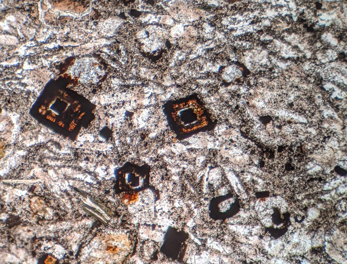 NARminerals's tweet photo. Any spinelling errors are on #GeoDan: "Spinel x-tals showing atoll textures (zoning); cores show chemical characteristics of the parent #kimberlite 465 magma (Loki Project discovery, 2018); outward layers record changes in P&T of magma or interactions w/ country rock-FOV 1mm PPL" https://t.co/L6AggXm7Kv