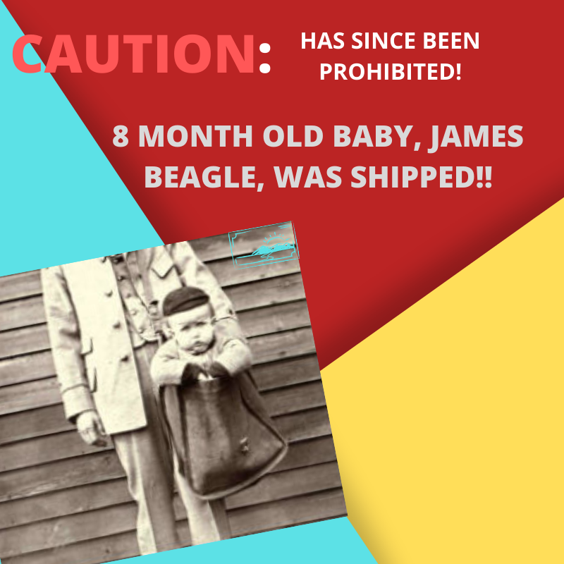 LetterStream's tweet photo. Its #FlashbackFriday!
In 1913 in Ohio, eight-month-old James Beagle was mailed by his parents to his grandmother a few miles away. But, don’t try this at home: shipping children is now strictly prohibited.
#USPS #mail #print #letterstream #postage #Prohibited #Firstclass #express https://t.co/5W88cW33Tz