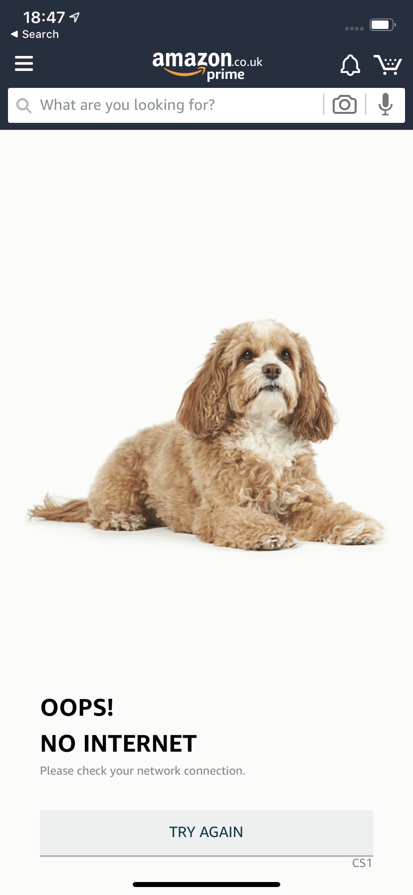 Caroline Morton on X Sometimes I open the Amazon app on the tube with no connection just to look at the dogs https t HbHVyXKP8y X