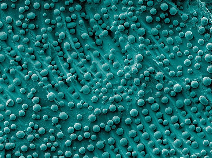 ENERGY's tweet photo. What's the #MATTER? Solids, liquids, gases, plasma, and #supercrystal? 🤔 A recent experiment transformed a mixture of two materials into a novel state of #matter—a #supercrystal!
➡️ https://t.co/c0EgoWpdvM https://t.co/eGK6ryPS3i