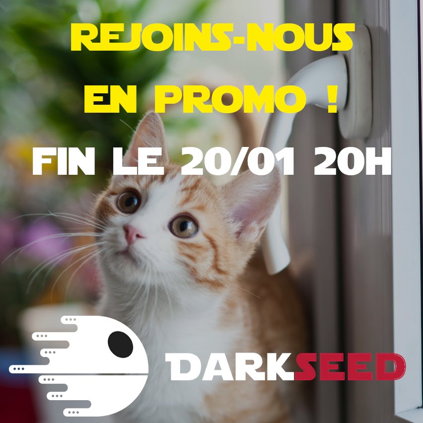 DarkseedFr's tweet photo. Pour commencer 2020, télécharges en toute sécurité et en promo !

https://t.co/WWyNdsdOLH https://t.co/EflgYgSfBl