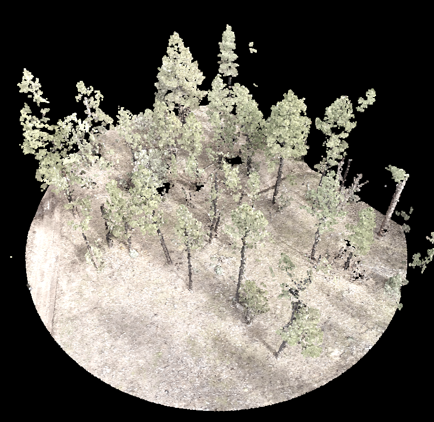 foresters's tweet photo. Thanks to Mark Corrao for these great images showing the high-tech side of forestry. Mark combined field data, drone flights, and Lidar to provide insights into creation of Lidar-assisted single-tree forest inventories in central Arizona. #SAFMemberSpotlight #STEMcareers #JoinSAF https://t.co/L6lra4alBT