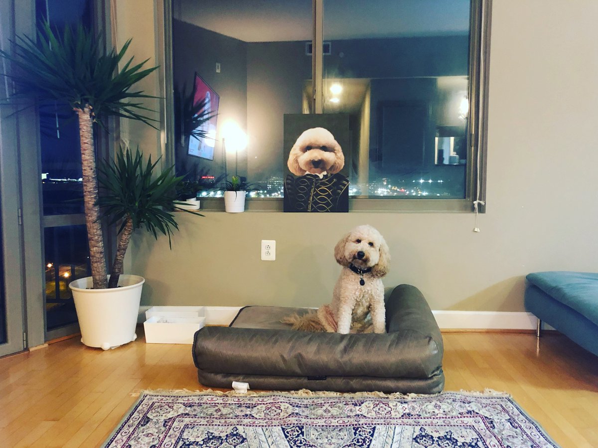 ShillaSaebi's tweet photo. CRAZY busy week for @BrittanyIstenes &amp; I in the Comcast OSPO as we worked on prepping 3 separate org-wide programs that are rolling out in '20. Having awesome colleagues &amp; a fantastic community makes it all well-worth it. Now looking fw to a relaxing long wknd w/Pixel &amp; the fam! https://t.co/jV7n7hKRrp